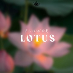 Geminay - Lotus (orvoir)