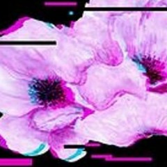 DJ DarkHawk - May 05/26/19