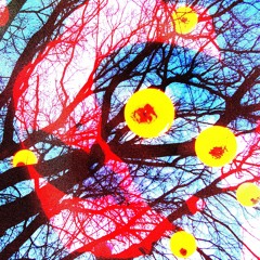 Mono No Aware