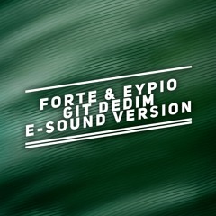 Forte & Eypio - Git Dedim ( E-Sound Version ) DOWNLOAD FULL VERSION