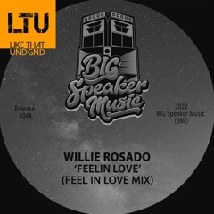 Premiere: Willie Rosado - Feelin Love (Feel In Love Mix) | BIG Speaker Music