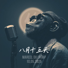 八月十五天