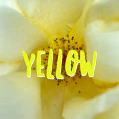 Songwriting Demos/Worktapes - all genres