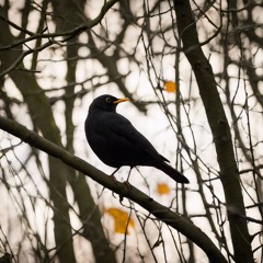 AGK - The Shortest Romance Daybreak Remix by Alucidnation