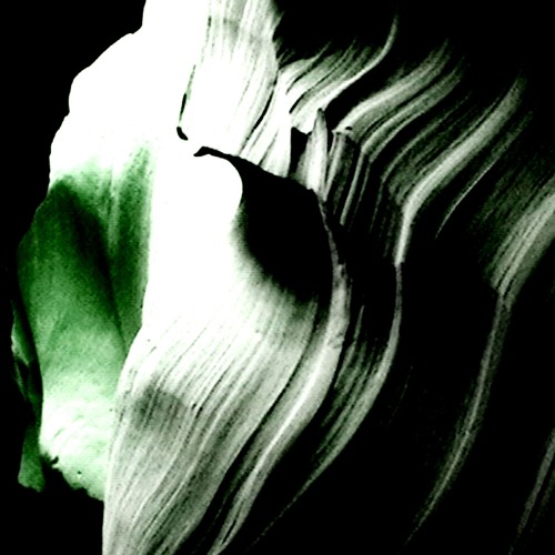 Fade Into Me