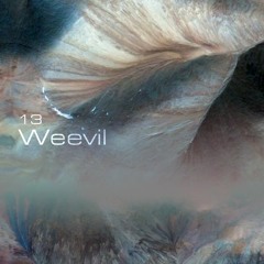WEEVIL - Isla to Isla #13
