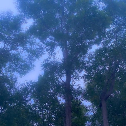 Willix - until december (Deep)