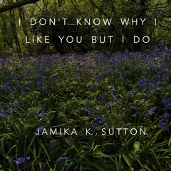 I Dont Know Why I Like You But I Do - The Wombats Cover