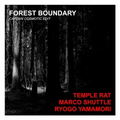 Marco Shuttle & Temple Rat ft. Ryogo Yamamori-Forest Boundary(Captain Cosmotic's Birds Reprise)