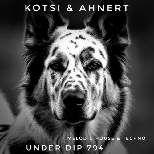 Kotsi & Ahnert UNDER DIP Ep. 794 Melodic House & Techno 123 bpm