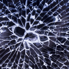 Shattered Dream