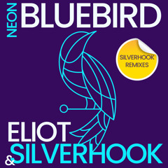 Neon Bluebird (Silverhook Remix)