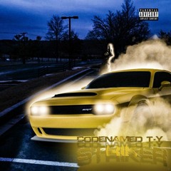 Codename T-Y Striker