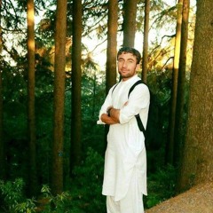 Haroon bacha