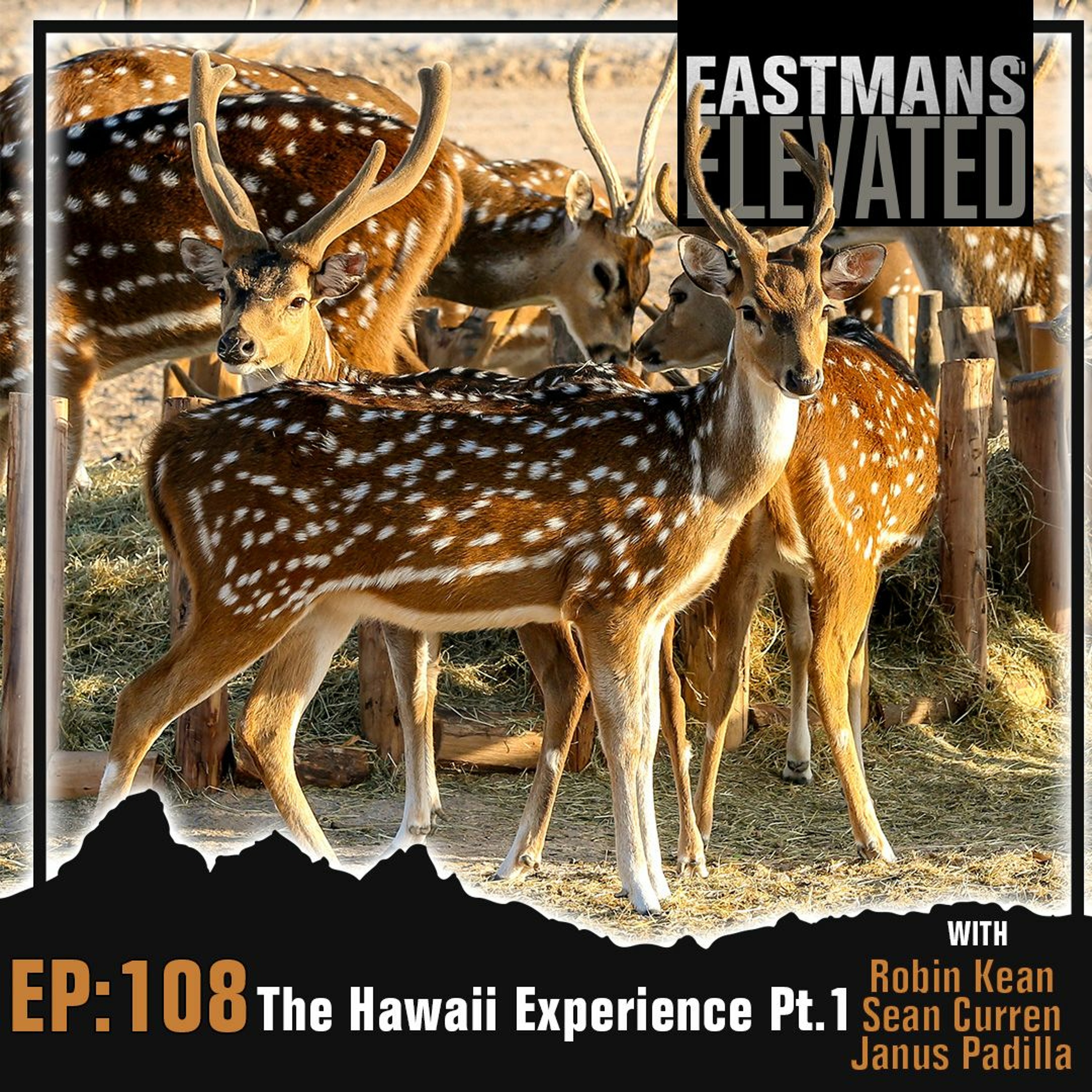Eastmans\' Elevated
