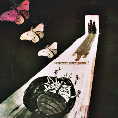 metamorphosis