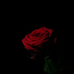 G.O.M.D Type Beat Switch