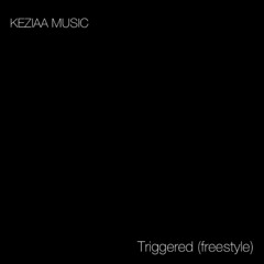 Triggered (Remix)