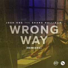 Wrong Way (Amp Live Remix) [feat. Shana Halligan]