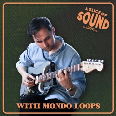A Slice Of Sound Podcast Ep. 8 W/ Mondo Loops