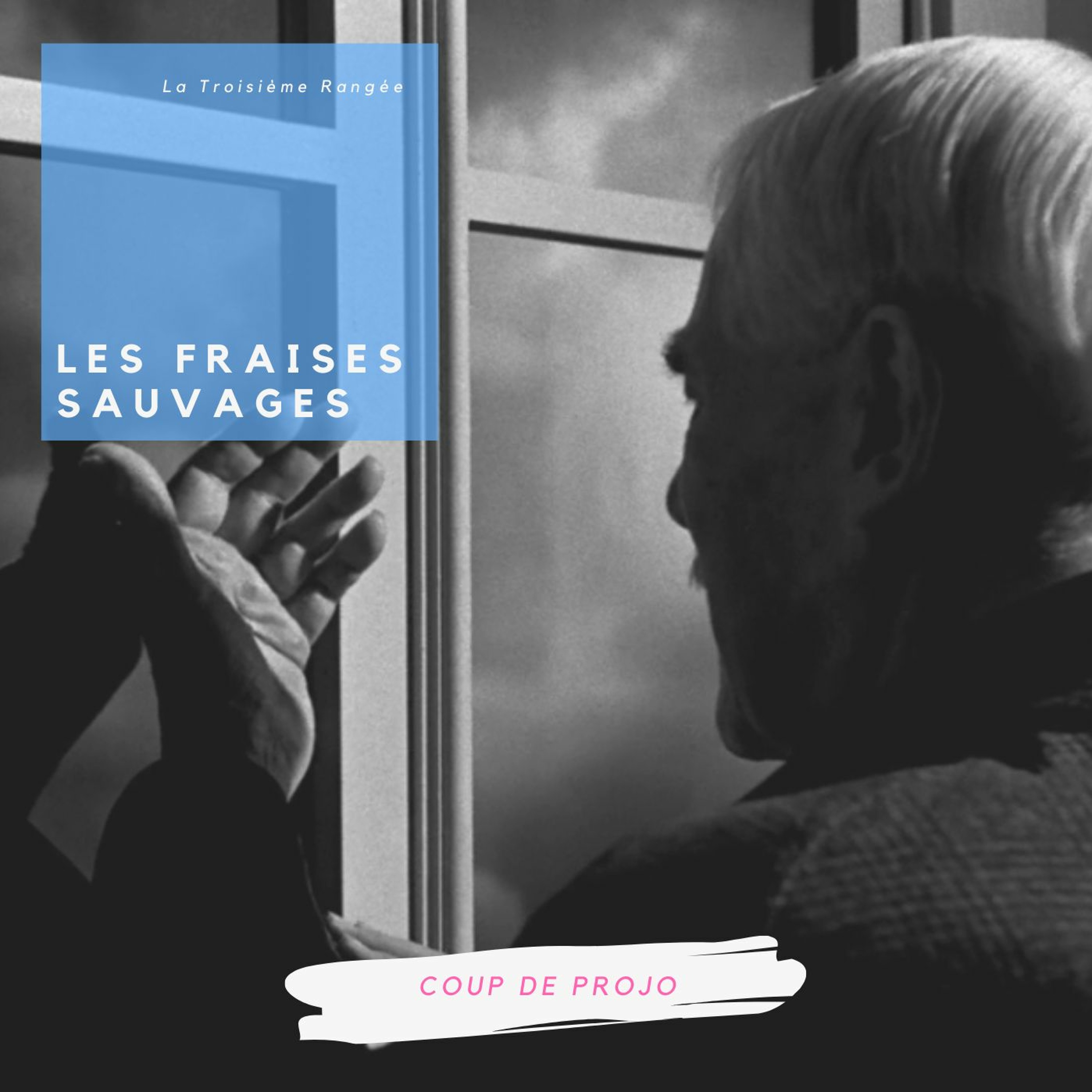 Coup De Projo - Les Fraises Sauvages