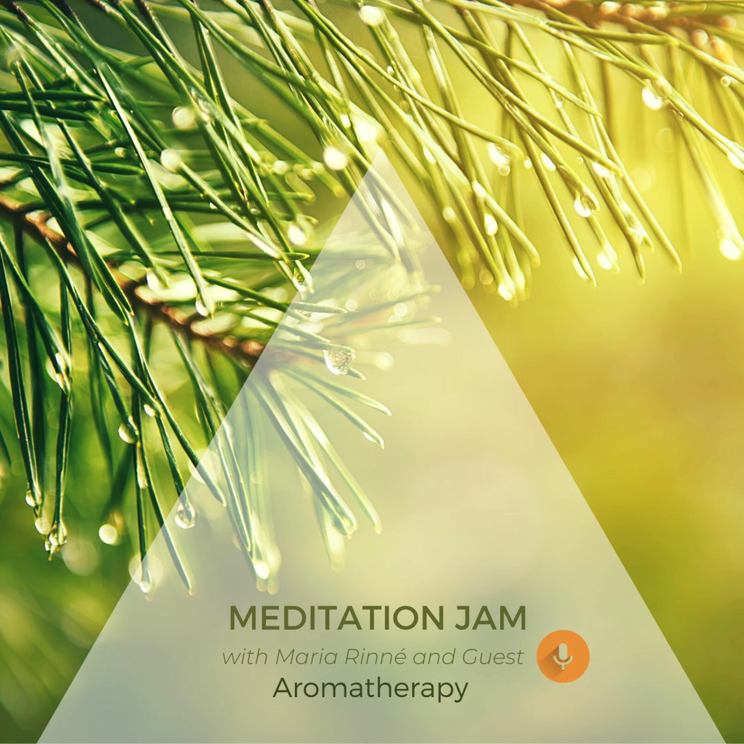 Meditation Jam with Maria Rinné, Igniting guided meditations, guests and life!
