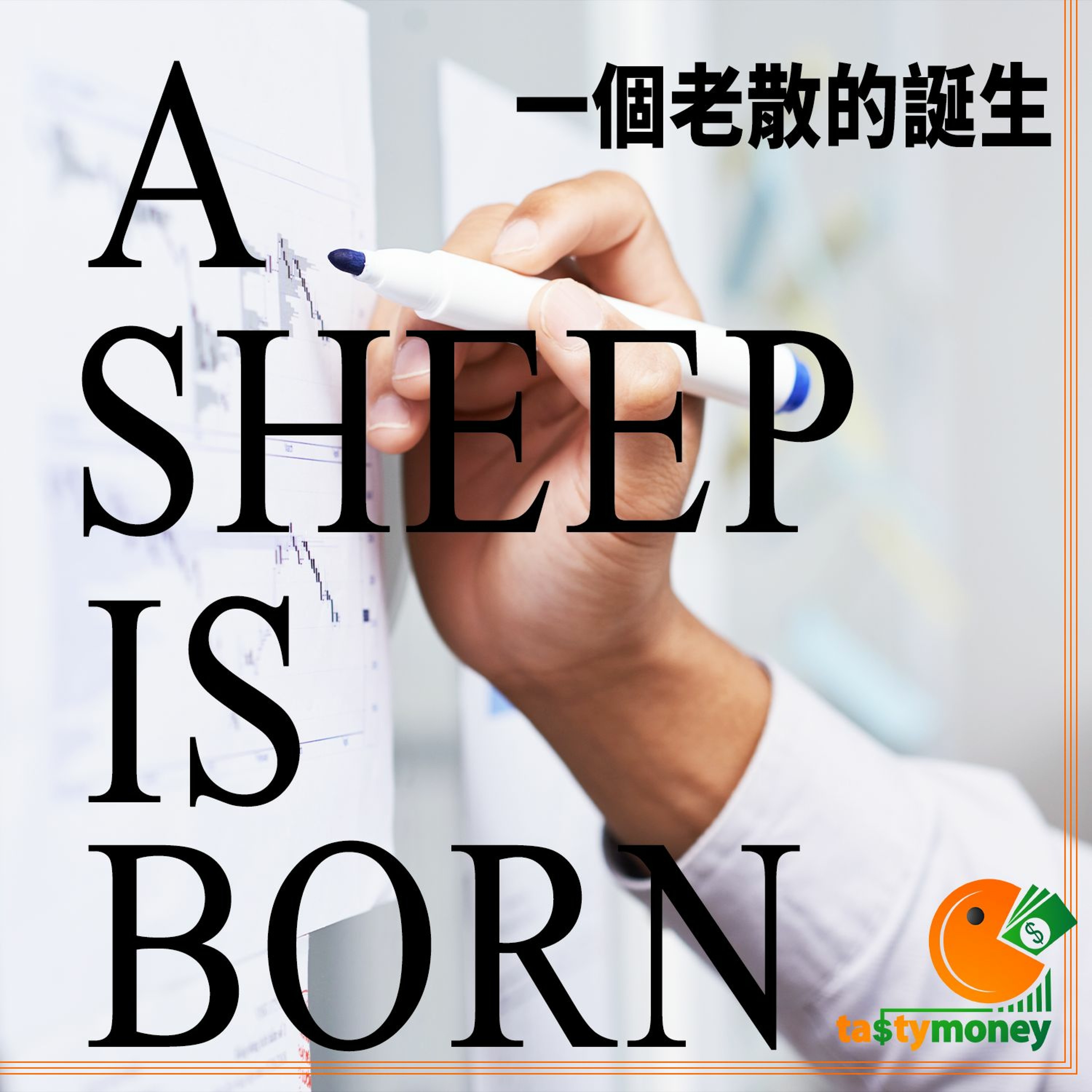 A Sheep is born