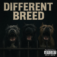 DIFFERENT BREED