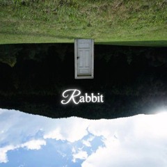 Rabbit  - Dan