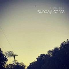 Sunday Coma | Bistro Boy