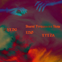 Sno Guest Mix (Zheng's Shared Frequencies Show 06-25 - BMC Radio)