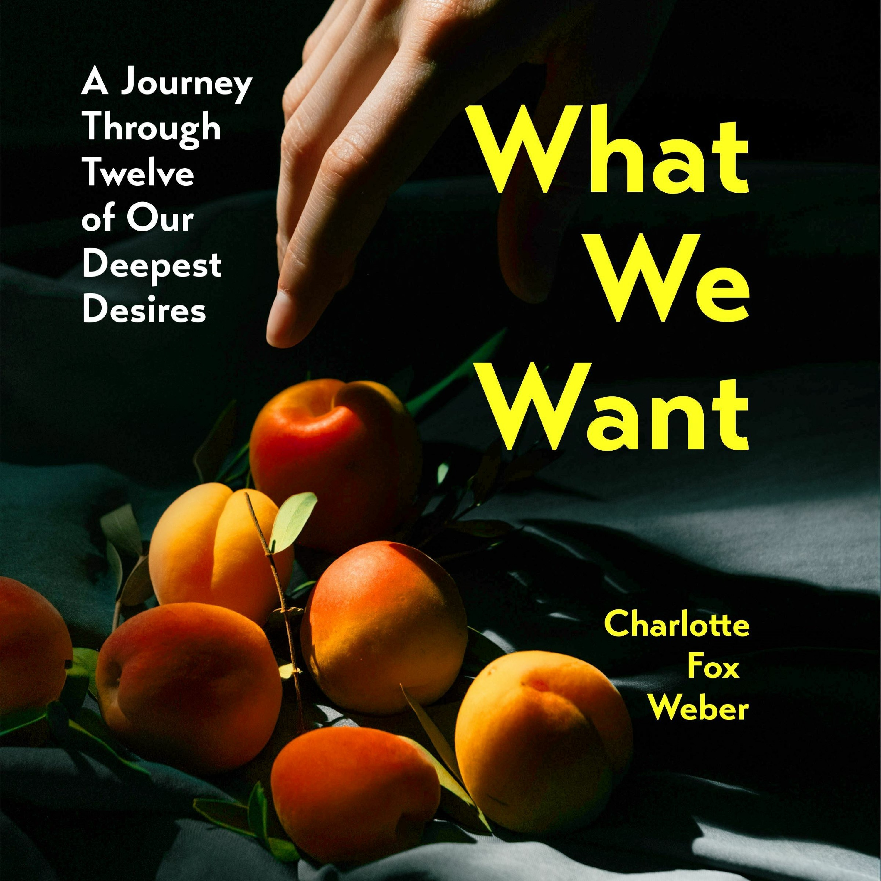 cover of episode WHAT WE WANT written and read by Charlotte Fox Weber - audiobook extract
