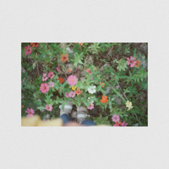 That Kind of Pop Song (The Lousy Pop Group cover)