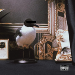 Pajaro Suelto - Bailar