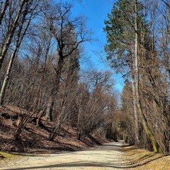 Ljubljana, Rožnik hill