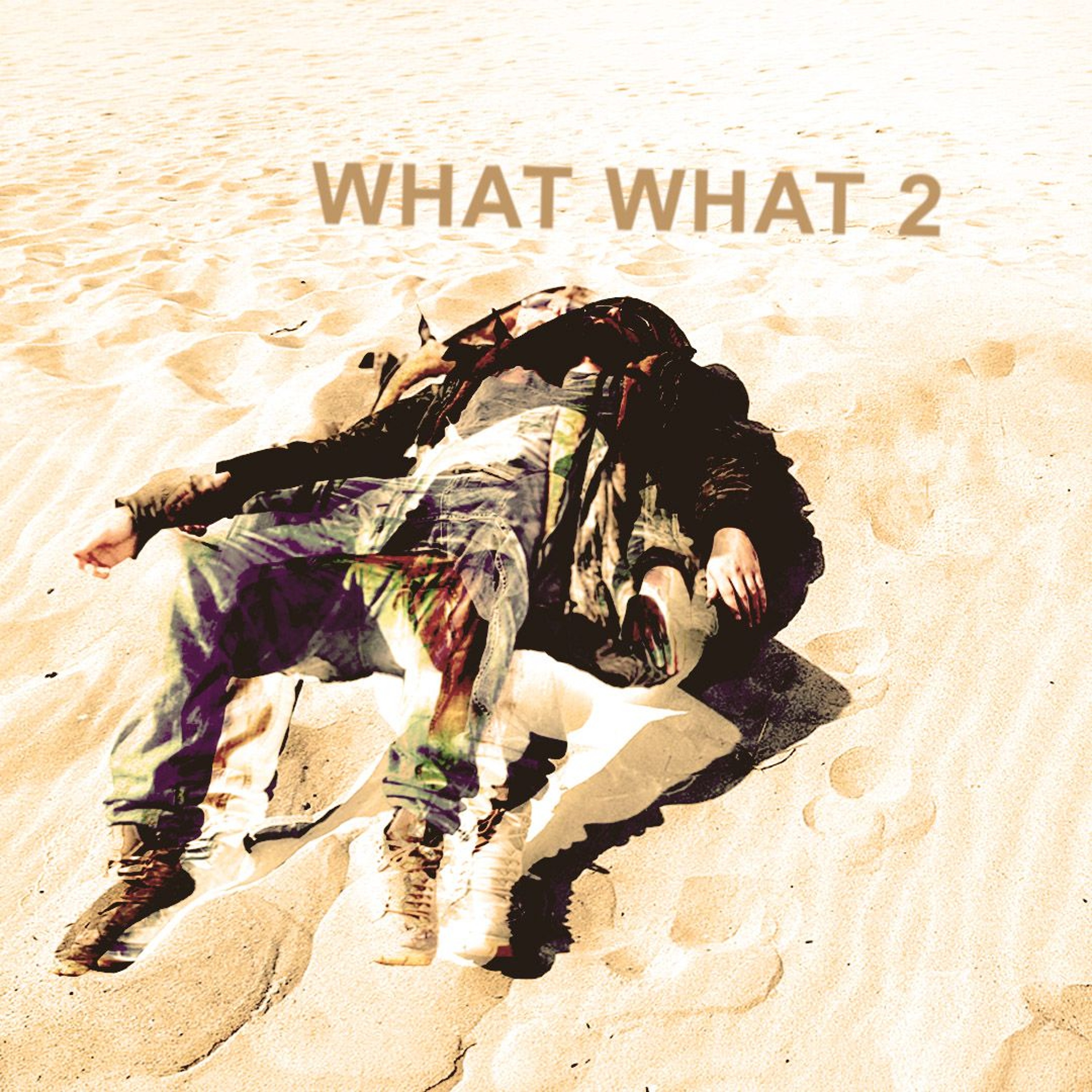 What What 2 episode artwork