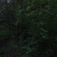 ItzLilDrench - Lock In (unreleased)