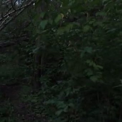 ItzLilDrench - Lock In (unreleased)