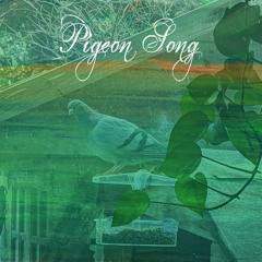Pigeon Song (Radio Edit)