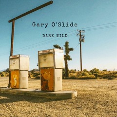 Gary O'Slide  - Undertaker