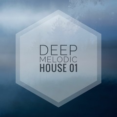 Deep Melodic House 01