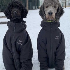 living in fear, pt. 2