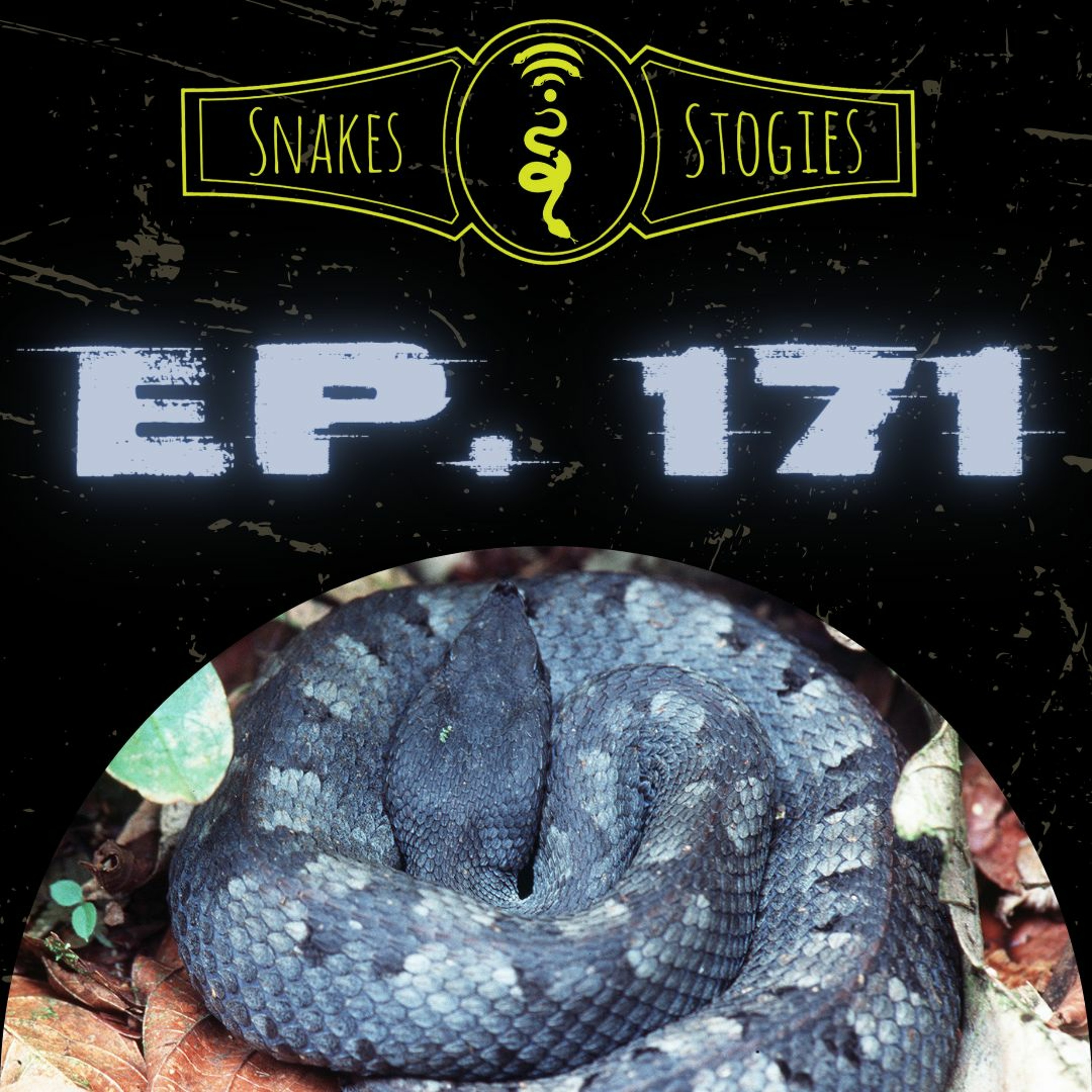 Snakes & Stogies Ep. 171