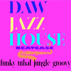 DAW HOUSE SET FUNKY TRIBAL JAZZ GROOVY