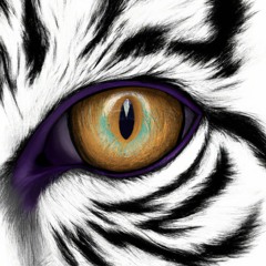 Amel Bent - Eye Of The Tiger (GerBeats D&B edit)