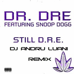 Still D.R.E "Remix" - Dr. Dre & Snoop Dogg (DJ Andru Luani Tech House Remix)