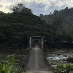 i shouldve written u more love songs