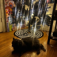 I feel almost everything all the time