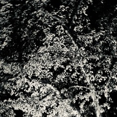20201129 Fall Mix