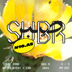8/12/24 Tidal Zone w/ Lou + Nicky
